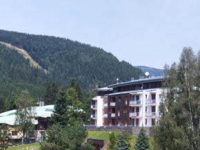 Apartmán 3K Michael, Spindleruv Mlýn